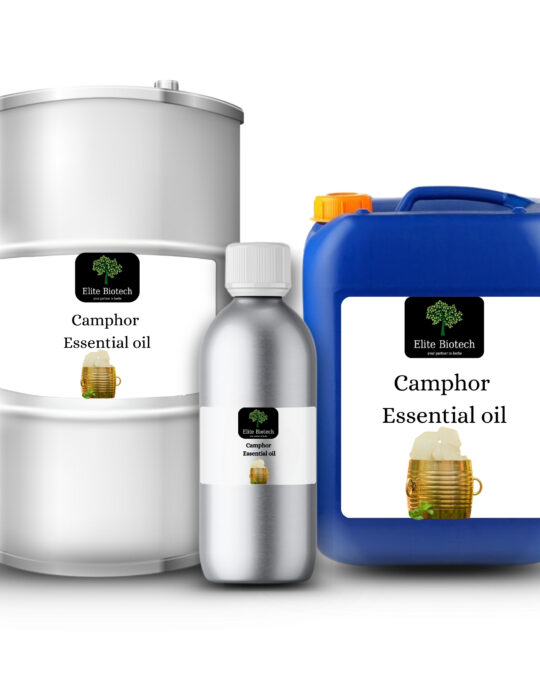 Camphor Essential Oil