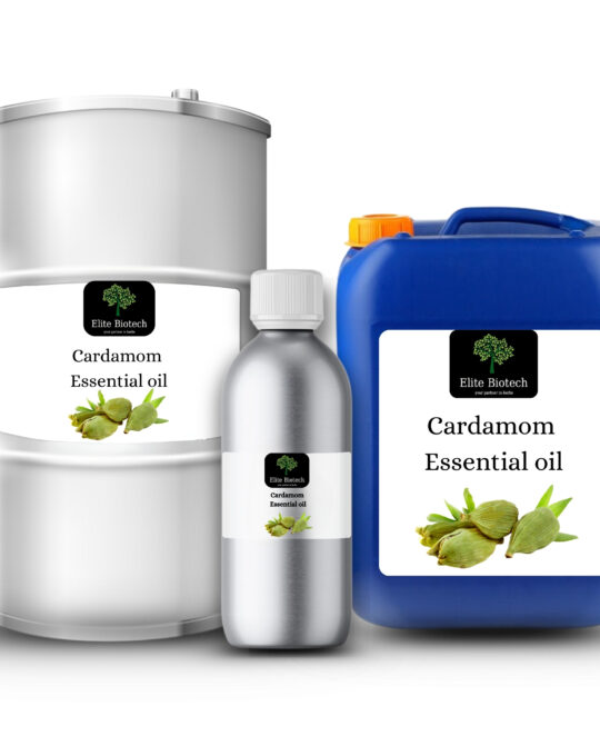 Cardamom Essential Oil