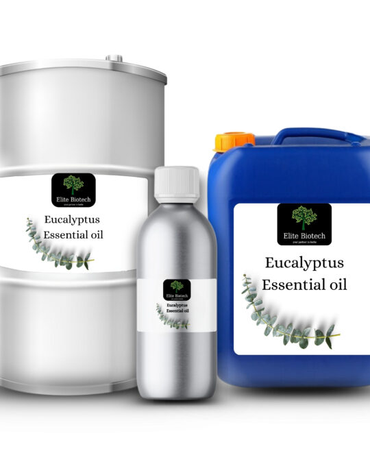 Eucalyptus Essential Oil