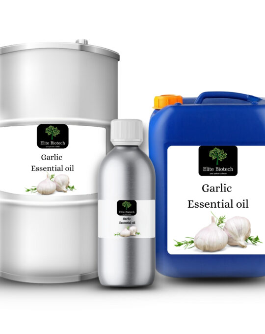Garlic Essential Oil