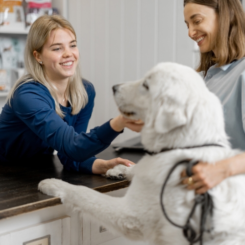 Veterinary & Animal Care Products