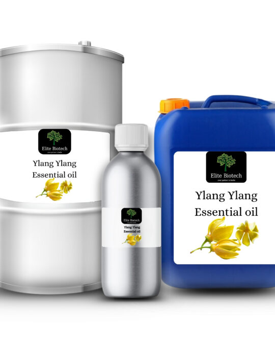 Ylang Ylang Essential Oil