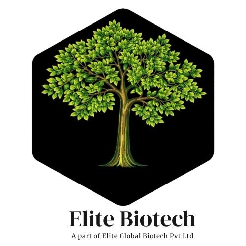 EliteBioTech-India’s most promising herbal raw wholesale suppliers.